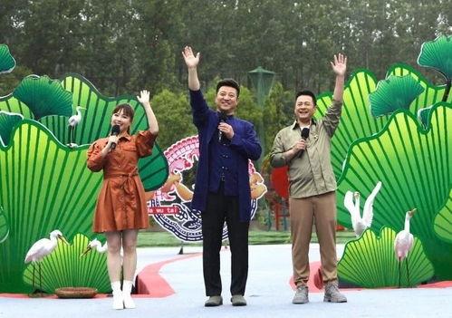 台湾迷途最新爆料视频,揭秘事件内幕，真相令人震惊